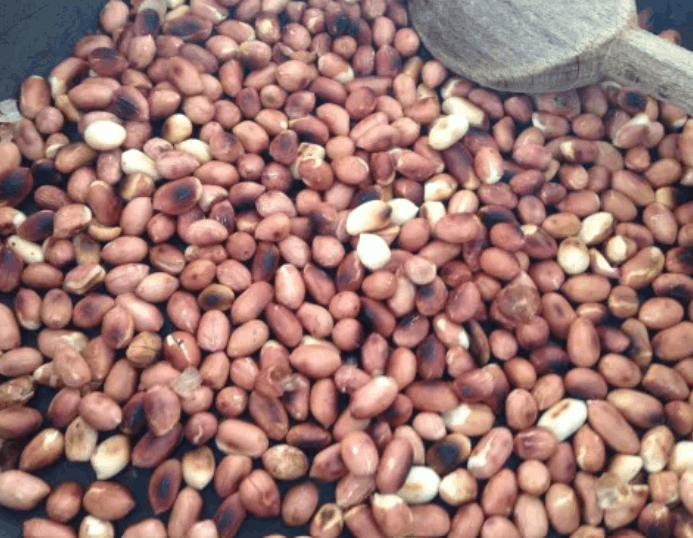 Nattu Groundnut – Dry Roasted with Light Salt(Roasted Peanuts)